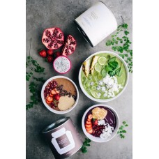 NOURISHING PROTEIN VANILLA BOX 500g & NOURISHING PROTEIN CHOCOLATE BOX 500g 