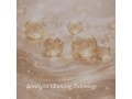 Refining Lip Cleanser
